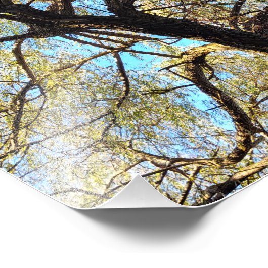 Bogen van licht foto afdruk (Hoek)