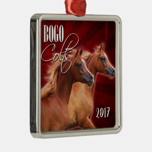 BOGO Burst 2017 Ornament (Rechts)