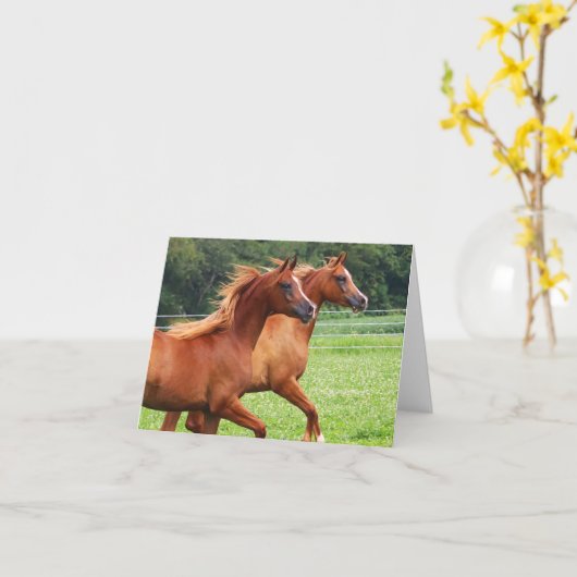 BOGO Colts Blank Note Kaart (Gele Bloem)