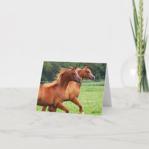 BOGO Colts Blank Note Kaart