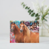 BOGO Colts - Graffiti Post Card - Arabische paarde Briefkaart (Staand voorkant)