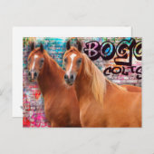 BOGO Colts - Graffiti Post Card - Arabische paarde Briefkaart (Voorkant / Achterkant)