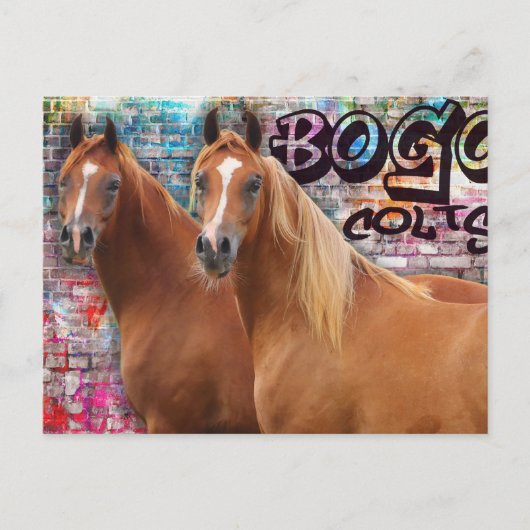 BOGO Colts - Graffiti Post Card - Arabische paarde Briefkaart (Voorkant)