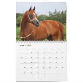 BOGO-foto's van 2 jaar oud Kalender (Mar 2026)