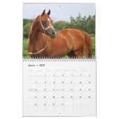 BOGO-foto's van 2 jaar oud Kalender (Mar 2027)