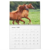BOGO-foto's van 2 jaar oud Kalender (Jan 2027)