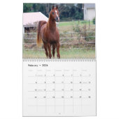 BOGO-kleuren agenda 3 jaar oude foto's Kalender (Feb 2026)