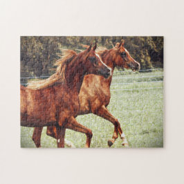 BOGO Kleurt artistieke puzzel