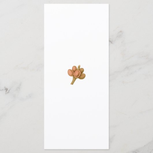 Boheemse Elegantie Eenvoudige Koffie Plant bruilof Menu (Achterkant)