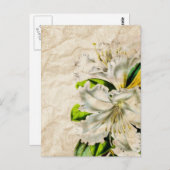 Boheemse Franse botanische kunst vlinder witte lel Briefkaart (Voorkant / Achterkant)