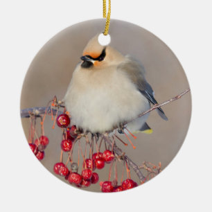 Boheemse pestvogel in de winter, Canada Keramisch Ornament