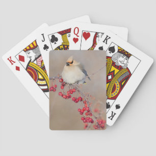 Boheemse pestvogel in de winter, Canada Pokerkaarten