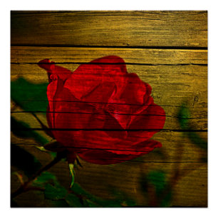 Boheemse schuur houtnerf Valentijnsdag Red Rose Poster