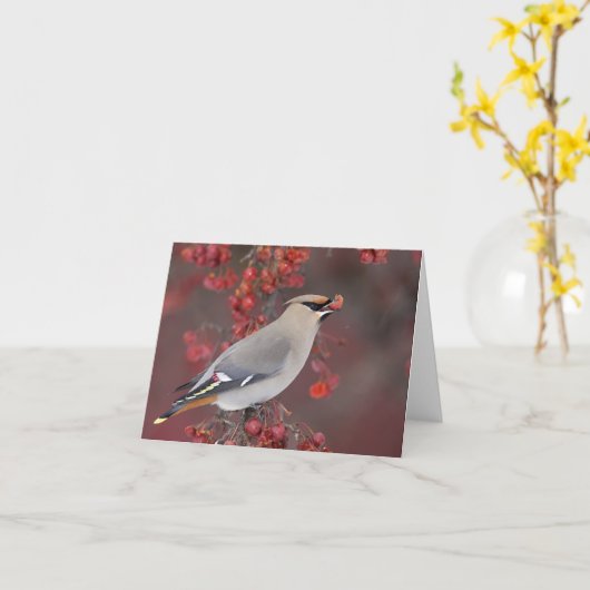 Boheemse Waxwing Notecards Kaart (Gele Bloem)