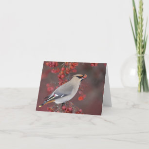 Boheemse Waxwing Notecards Kaart