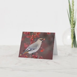 Boheemse Waxwing Notecards Kaart