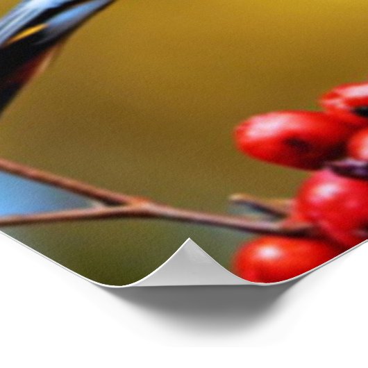 Boheemse Waxwing-Poster Poster (Hoek)