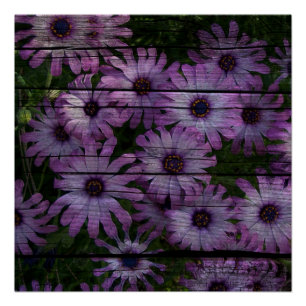 Boheemse Westerne Country Barn Board paarse daisy Poster