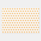 Boheemse woestijn regenboog en zonpatronen inpakpapier vel (Voorkant 2)