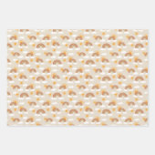 Boheemse woestijn regenboog en zonpatronen inpakpapier vel (Voorkant)