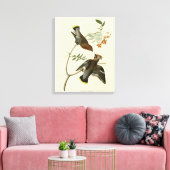 Bohemen Chatterer (Waxwing) Audubon Birds America Canvas Afdruk (Insitu (Woonkamer))
