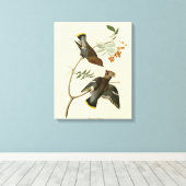 Bohemen Chatterer (Waxwing) Audubon Birds America Canvas Afdruk (Insitu (Houten vloer))
