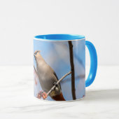 Bohemen Waxwing - Canadese wilde dieren - Foto Mok (Voorkant rechts)