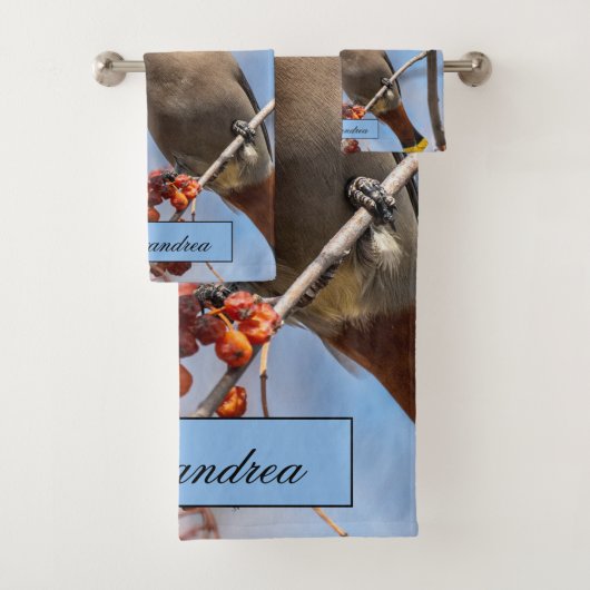 Bohemen Waxwing, Sky Background Bad Handdoek (Insitu)