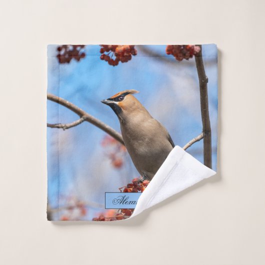 Bohemen Waxwing, Sky Background Bad Handdoek (Wasdoekje)