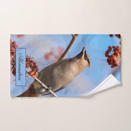 Bohemen Waxwing, Sky Background Bad Handdoek (Handdoek)
