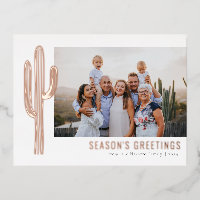 Bohemian Desert Cactus Family Foto