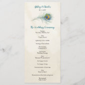 Bohemian Peacock Feather Blauwgroen bruiloft Rackc Programmakaart (Achterkant)