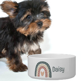 Bohemian Rainbow Monogram Pet Feeding Voerbakje