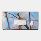 Bohemian Waxwing, Canadese vogelfotografie Bureaumat (Keyboard & Muis)