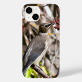 Bohemian Waxwing, Canadese vogelfotografie Case-Mate iPhone Case (Achterkant)