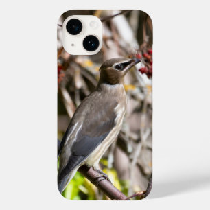 Bohemian Waxwing, Canadese vogelfotografie Case-Mate iPhone 14 Hoesje