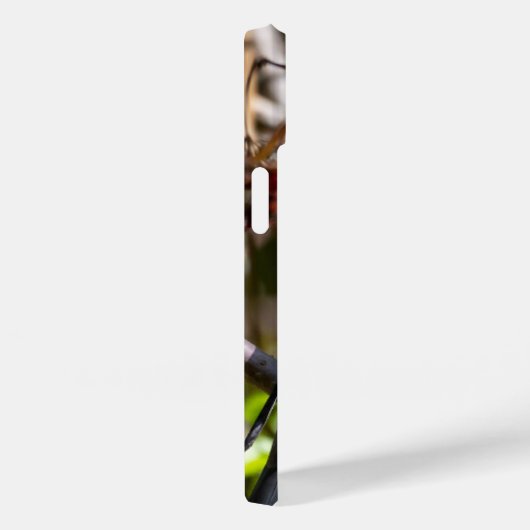 Bohemian Waxwing, Canadese vogelfotografie Case-Mate iPhone Case (Achterkant / Rechts)