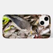 Bohemian Waxwing, Canadese vogelfotografie Case-Mate iPhone Case (Achterkant (horizontaal))