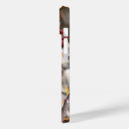 Bohemian Waxwing, Canadese vogelfotografie Case-Mate iPhone Case (Achterkant / Links)