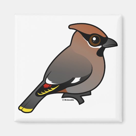 Bohemian Waxwing Magneet (Voorkant)