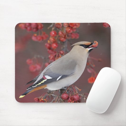 Bohemian Waxwing Mousepad Muismat (Met muis)