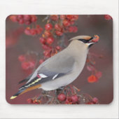 Bohemian Waxwing Mousepad Muismat (Voorkant)