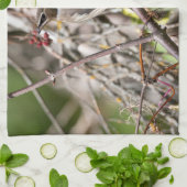 Bohemian Waxwing, rust op een tak Theedoek (Gevouwen)