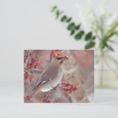 Bohemian Waxwings Briefkaart (Staand voorkant)