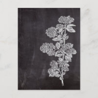 Bohemisch Chalkboard botanisch