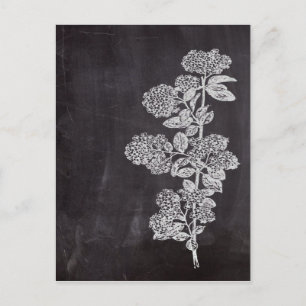 Bohemisch Chalkboard botanisch Briefkaart