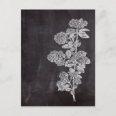 Bohemisch Chalkboard botanisch Briefkaart (Voorkant)