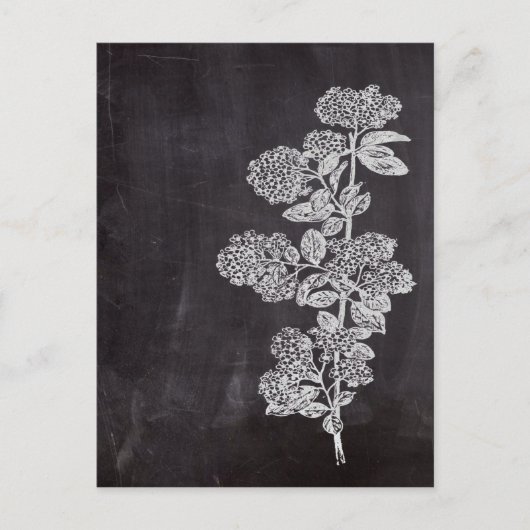 Bohemisch Chalkboard botanisch Briefkaart (Voorkant)
