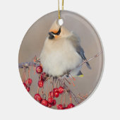 Bohemische was in de winter, Canada Keramisch Ornament (Links)