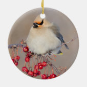 Bohemische was in de winter, Canada Keramisch Ornament (Achterkant)